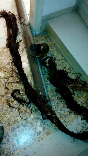 ΥΔΡΑΥΛΙΚΟΙ - ΥΔΡΕΥΕΙΝ