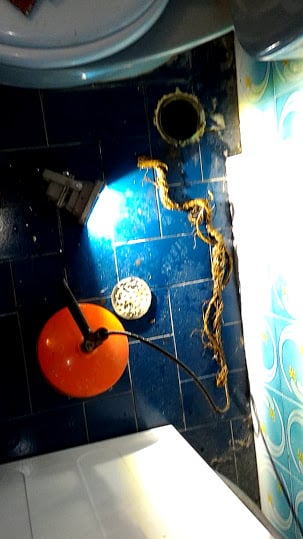 ΥΔΡΑΥΛΙΚΟΙ - ΥΔΡΕΥΕΙΝ