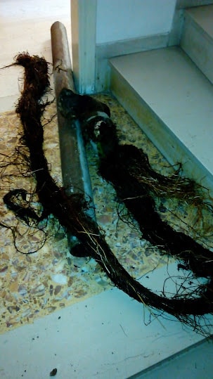 ΥΔΡΑΥΛΙΚΟΙ - ΥΔΡΕΥΕΙΝ