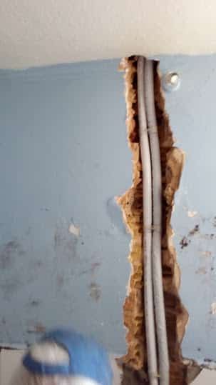 ΥΔΡΑΥΛΙΚΟΙ - ΥΔΡΕΥΕΙΝ