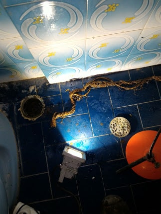 ΥΔΡΑΥΛΙΚΟΙ - ΥΔΡΕΥΕΙΝ