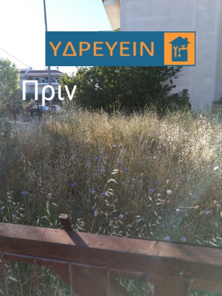 Κοπή χόρτων