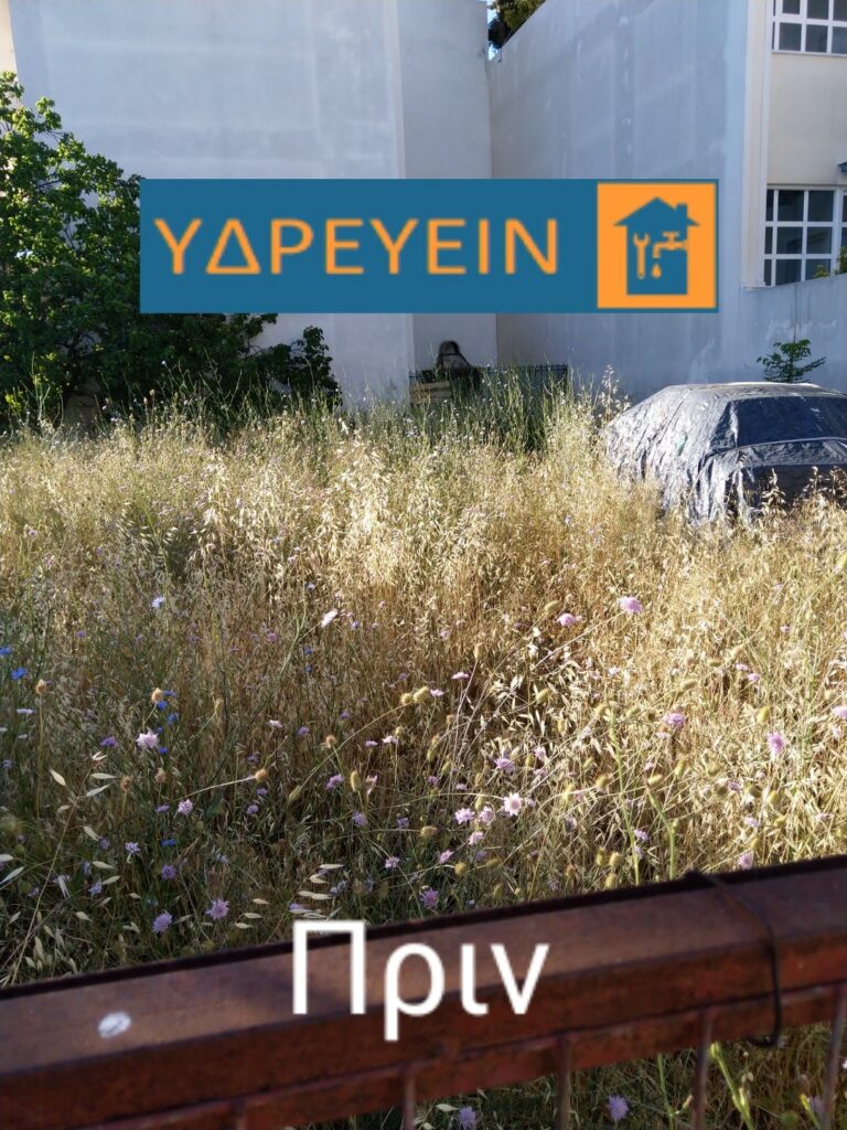 Κοπή χόρτων