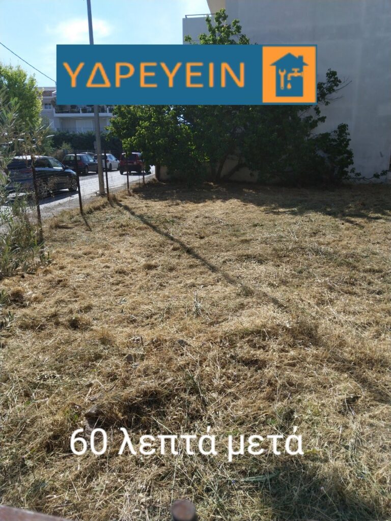 Κοπή χόρτων