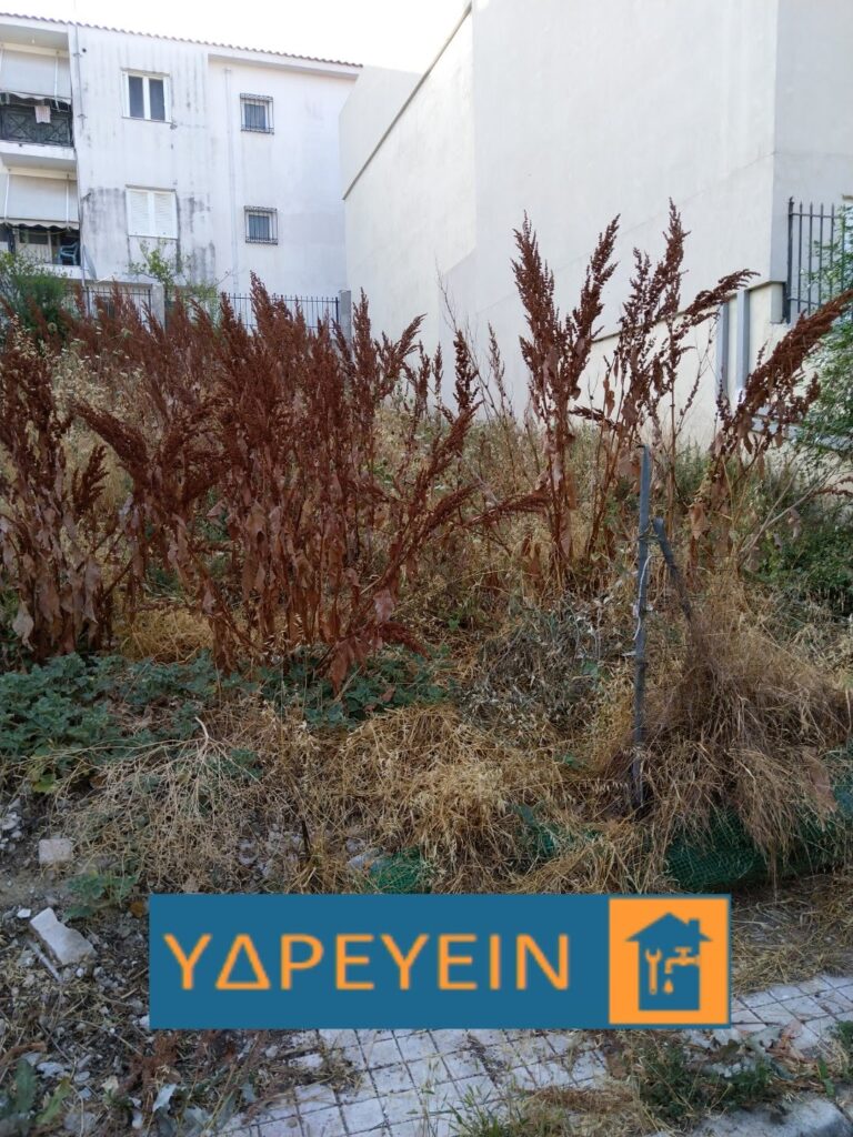 Κοπή χόρτων