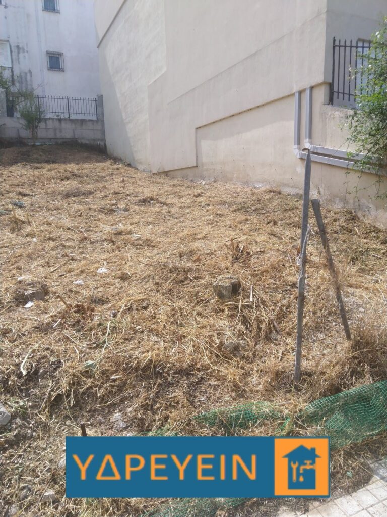 Κοπή χόρτων