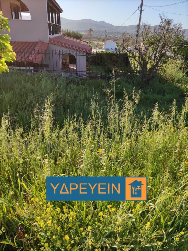 Κοπή χόρτων στον Γέρακα με επαγγελματικό χορτοκοπτικό μηχάνημα τιμή για οικόπεδα 200m² με υψηλή βλάστηση - Image 54