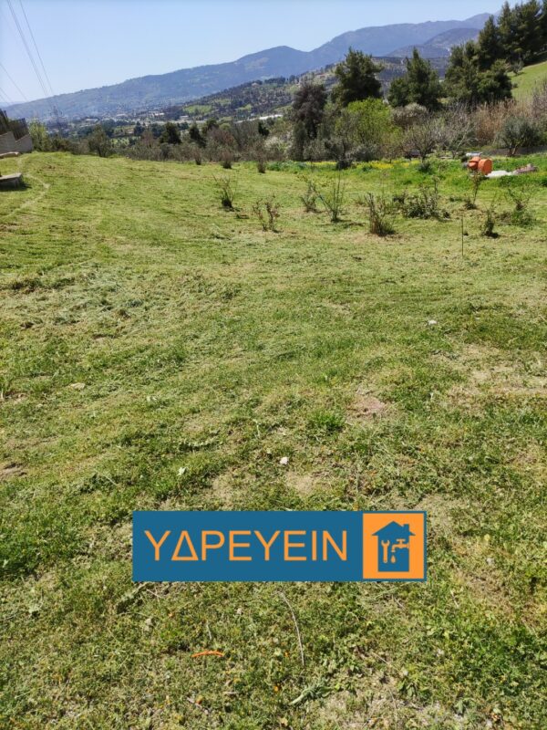 Κοπή χόρτων στον Γέρακα με επαγγελματικό χορτοκοπτικό μηχάνημα τιμή για οικόπεδα 200m² με υψηλή βλάστηση - Image 49