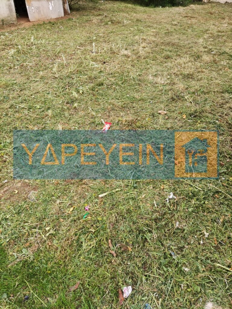 Κοπή χόρτων