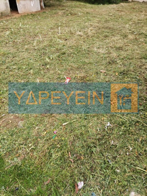 Κοπή χόρτων στον Γέρακα με επαγγελματικό χορτοκοπτικό μηχάνημα τιμή για οικόπεδα 200m² με υψηλή βλάστηση - Image 21