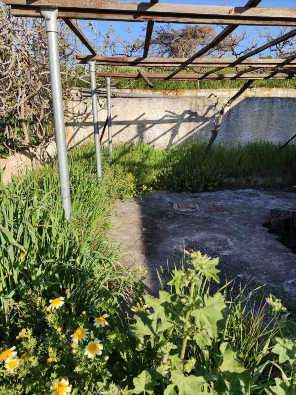 Κοπή χόρτων στον Γέρακα με επαγγελματικό χορτοκοπτικό μηχάνημα τιμή για οικόπεδα 200m² με υψηλή βλάστηση - Image 40