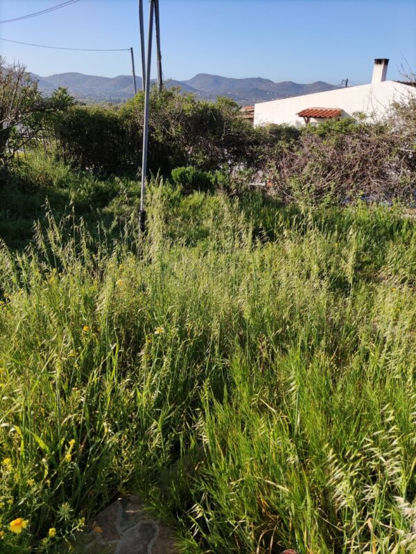 Κοπή χόρτων στον Γέρακα με επαγγελματικό χορτοκοπτικό μηχάνημα τιμή για οικόπεδα 200m² με υψηλή βλάστηση - Image 38