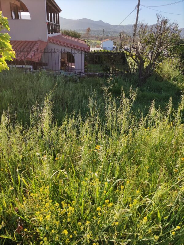 Κοπή χόρτων στον Γέρακα με επαγγελματικό χορτοκοπτικό μηχάνημα τιμή για οικόπεδα 200m² με υψηλή βλάστηση - Image 37