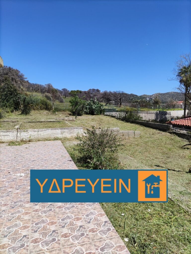 Κοπή χόρτων