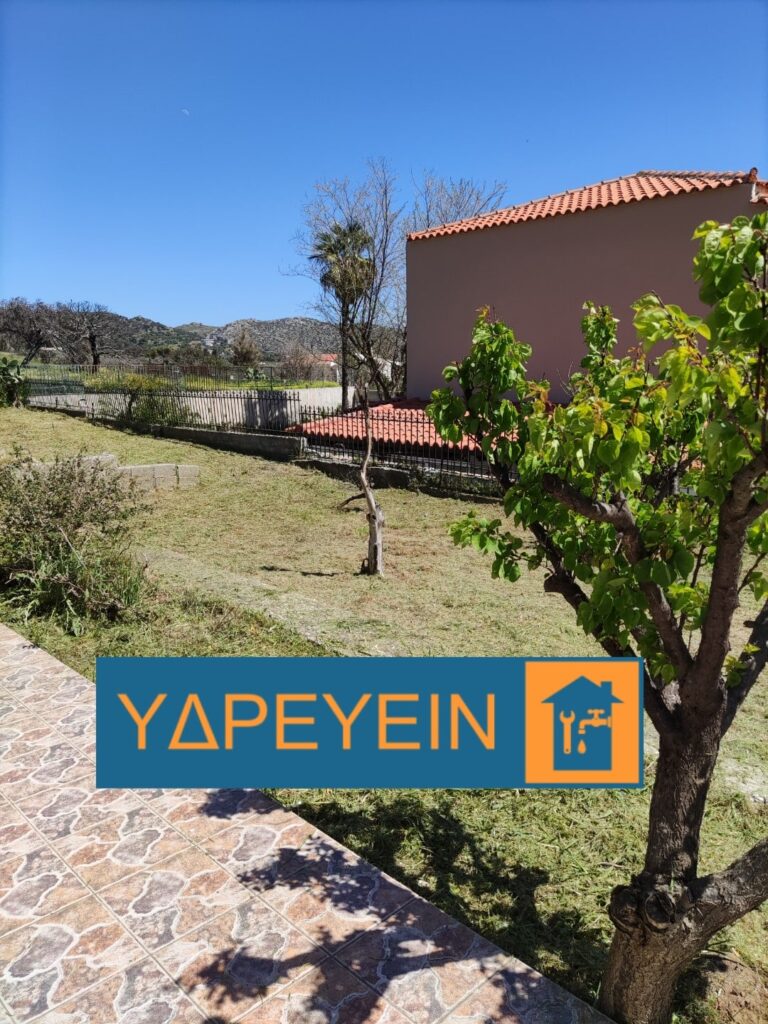 Κοπή χόρτων