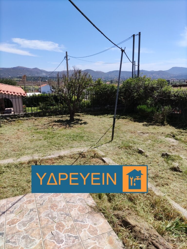 Κοπή χόρτων