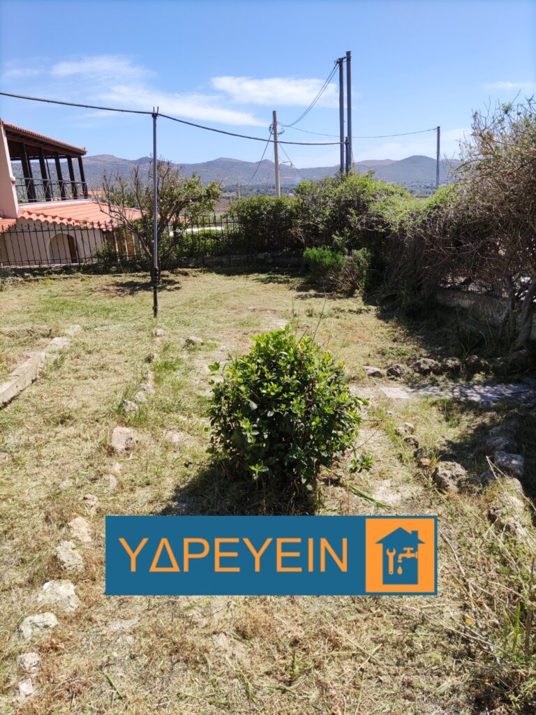 Κοπή χόρτων