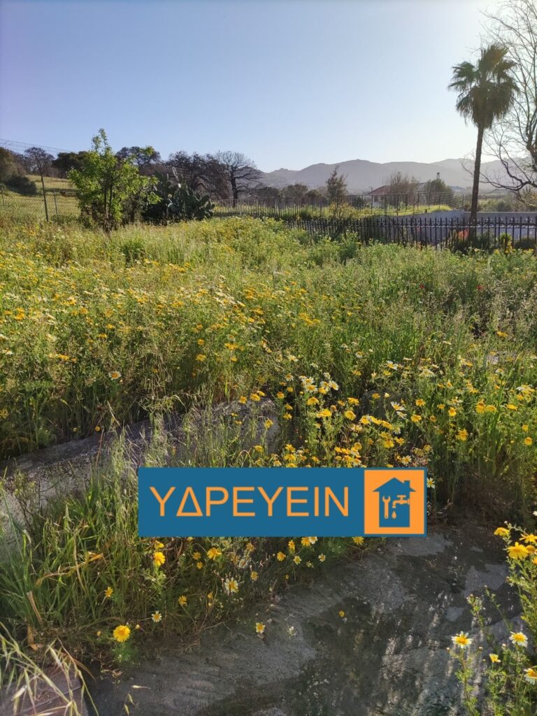 Κοπή χόρτων