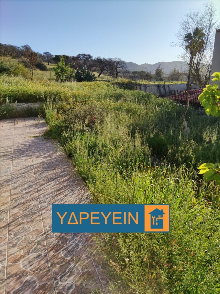 Κοπή χόρτων