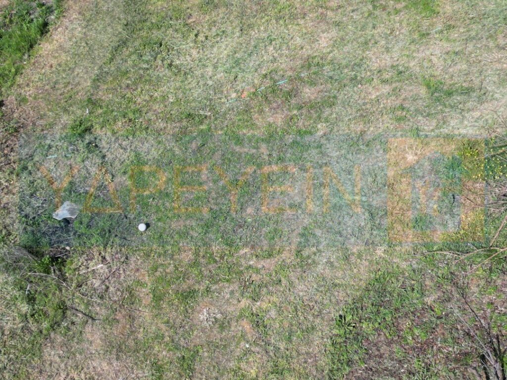 Κοπή χόρτων