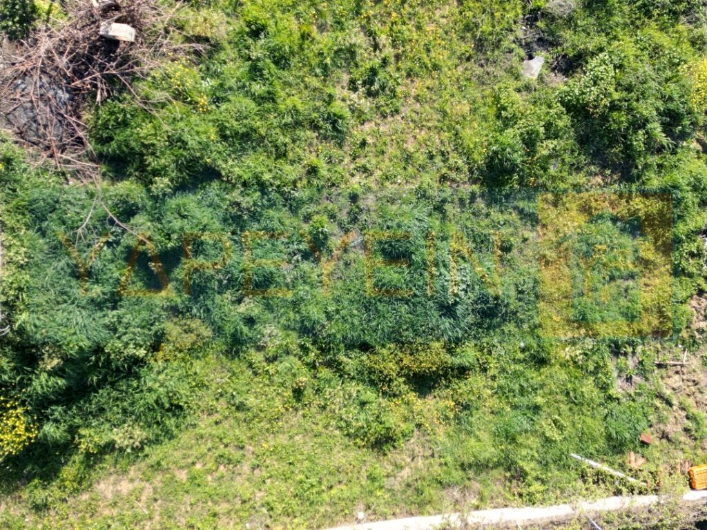 Κοπή χόρτων