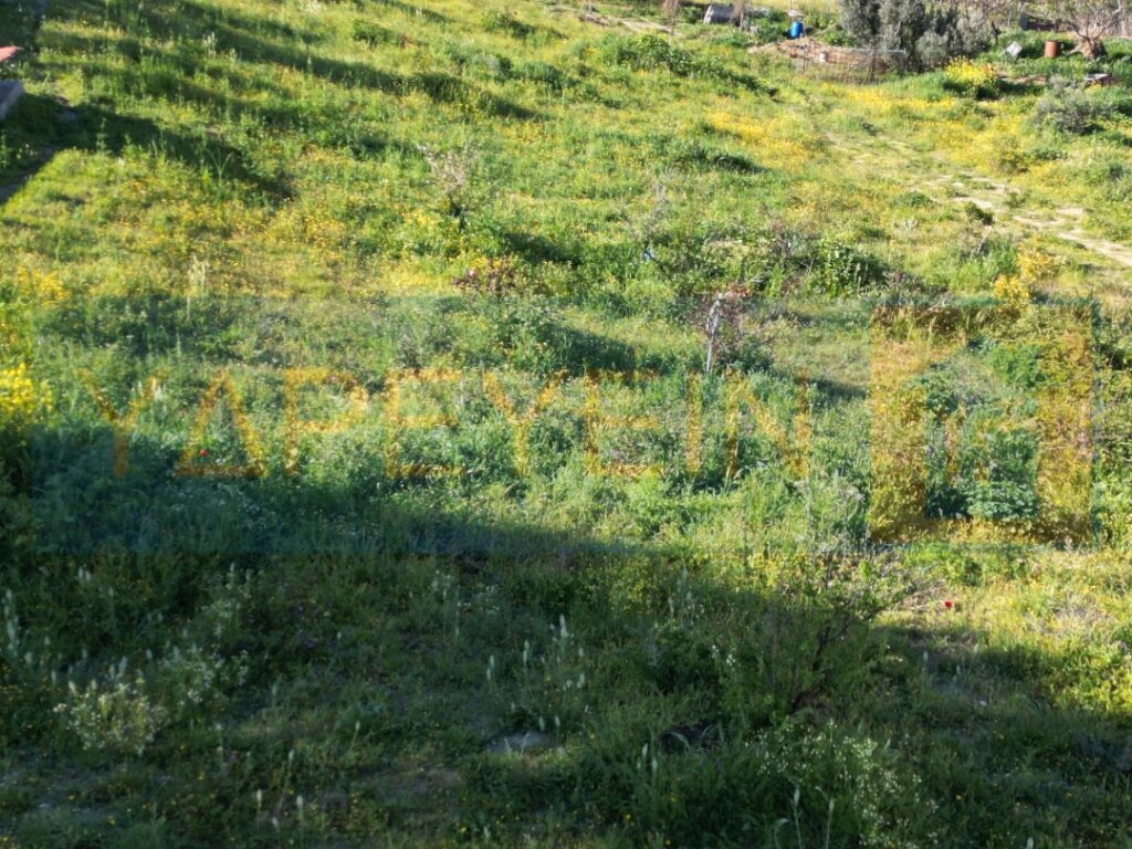 Κοπή χόρτων